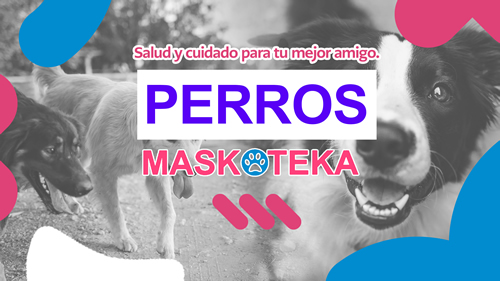perros